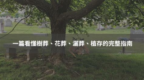 環保葬 風水|影／環保葬／風水師：樹葬生魂若不安寧 恐影響後代子孫運勢